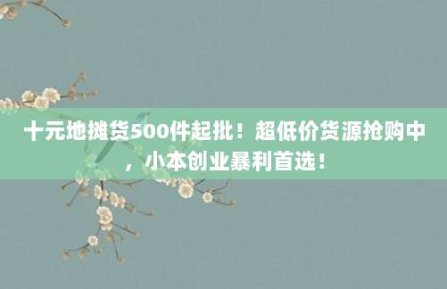 十元地摊货500件起批！超低价货源抢购中，小本创业暴利首选！