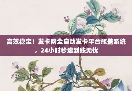 高效稳定！发卡网全自动发卡平台瓶盖系统，24小时秒速到账无忧