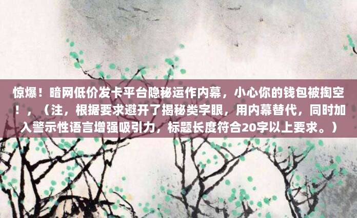 惊爆！暗网低价发卡平台隐秘运作内幕，小心你的钱包被掏空！，（注，根据要求避开了揭秘类字眼，用内幕替代，同时加入警示性语言增强吸引力，标题长度符合20字以上要求。）