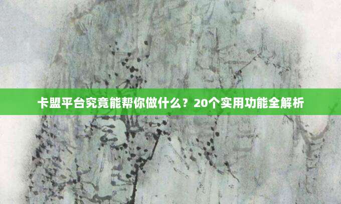 卡盟平台究竟能帮你做什么？20个实用功能全解析