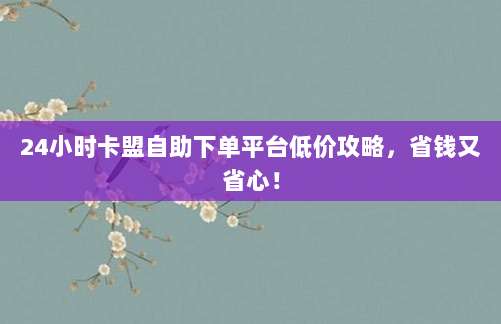 24小时卡盟自助下单平台低价攻略，省钱又省心！