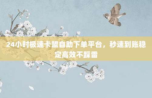 24小时极速卡盟自助下单平台，秒速到账稳定高效不踩雷