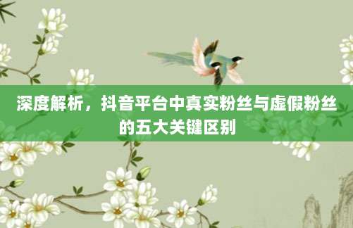 深度解析，抖音平台中真实粉丝与虚假粉丝的五大关键区别