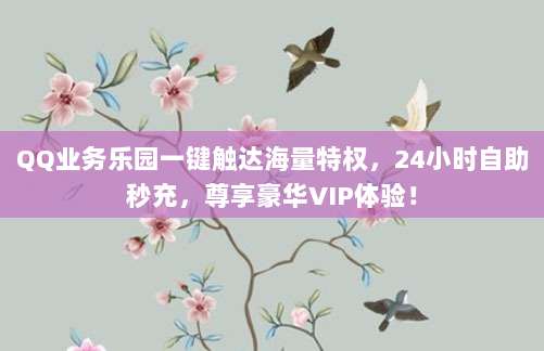 QQ业务乐园一键触达海量特权，24小时自助秒充，尊享豪华VIP体验！
