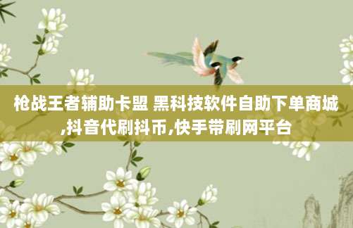 枪战王者辅助卡盟 黑科技软件自助下单商城,抖音代刷抖币,快手带刷网平台