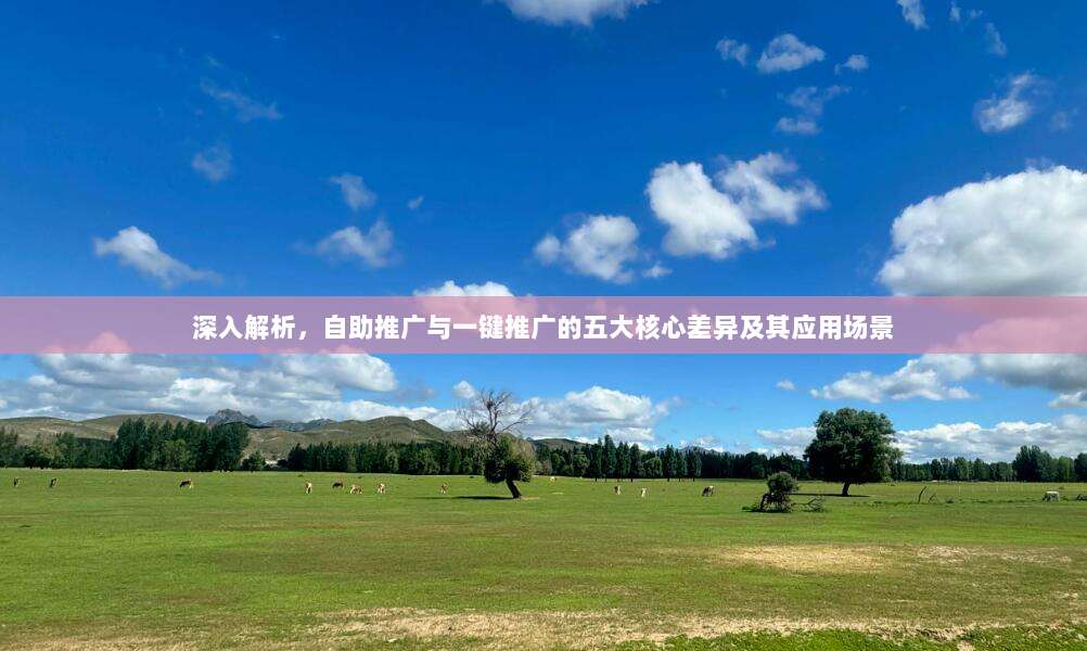 深入解析，自助推广与一键推广的五大核心差异及其应用场景
