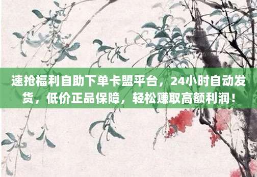 速抢福利自助下单卡盟平台，24小时自动发货，低价正品保障，轻松赚取高额利润！