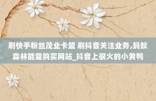 刷快手粉丝茂业卡盟 刷抖音关注业务,蚂蚁森林能量购买网站_抖音上很火的小黄鸭