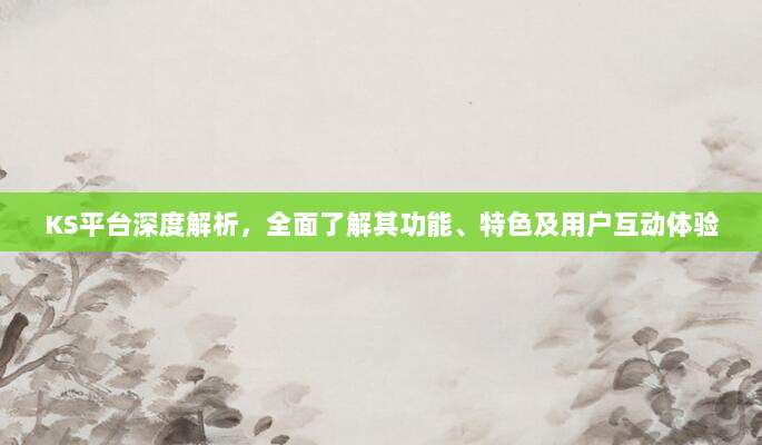 KS平台深度解析，全面了解其功能、特色及用户互动体验