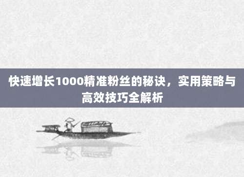 快速增长1000精准粉丝的秘诀，实用策略与高效技巧全解析