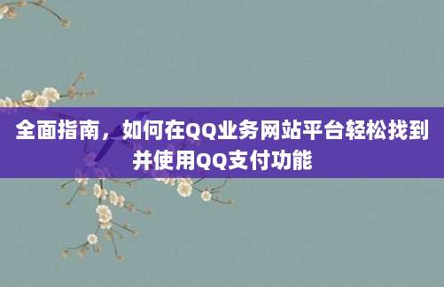 全面指南，如何在QQ业务网站平台轻松找到并使用QQ支付功能