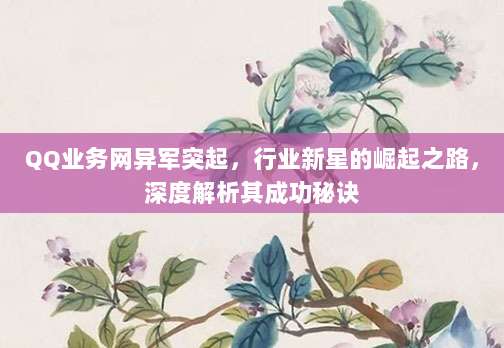 QQ业务网异军突起，行业新星的崛起之路，深度解析其成功秘诀