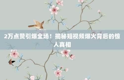 2万点赞引爆全场！揭秘短视频爆火背后的惊人真相