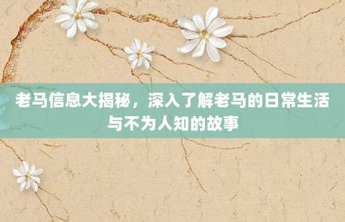 老马信息大揭秘，深入了解老马的日常生活与不为人知的故事