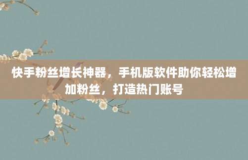 快手粉丝增长神器，手机版软件助你轻松增加粉丝，打造热门账号