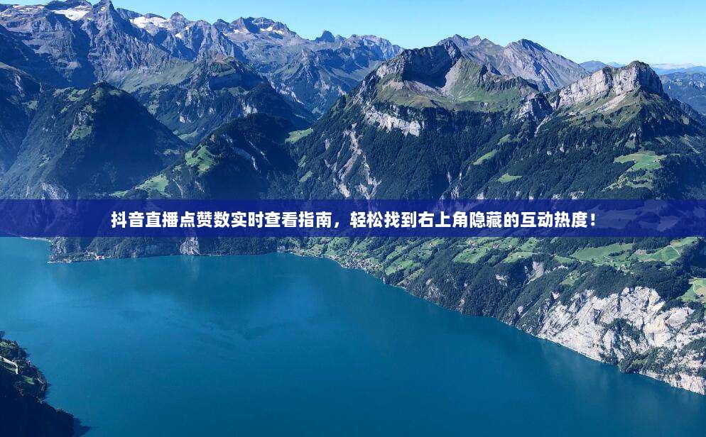 抖音直播点赞数实时查看指南，轻松找到右上角隐藏的互动热度！