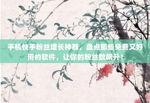 手机快手粉丝增长神器，盘点那些免费又好用的软件，让你的粉丝数飙升！