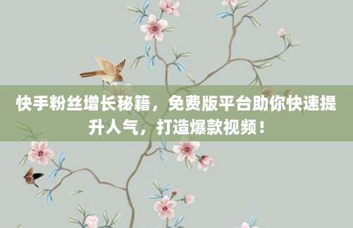 快手粉丝增长秘籍，免费版平台助你快速提升人气，打造爆款视频！