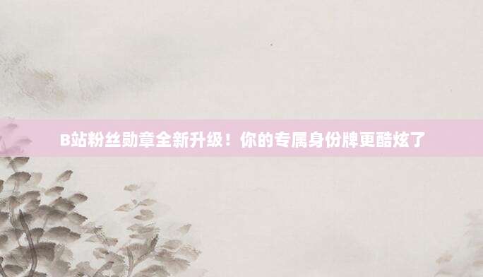 B站粉丝勋章全新升级！你的专属身份牌更酷炫了