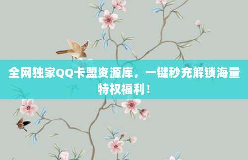全网独家QQ卡盟资源库，一键秒充解锁海量特权福利！