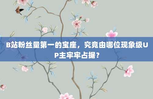 B站粉丝量第一的宝座,究竟由哪位现象级UP主牢牢占据?