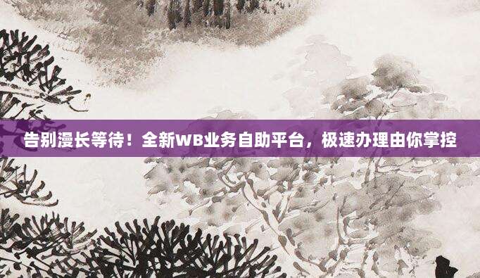 告别漫长等待！全新WB业务自助平台，极速办理由你掌控