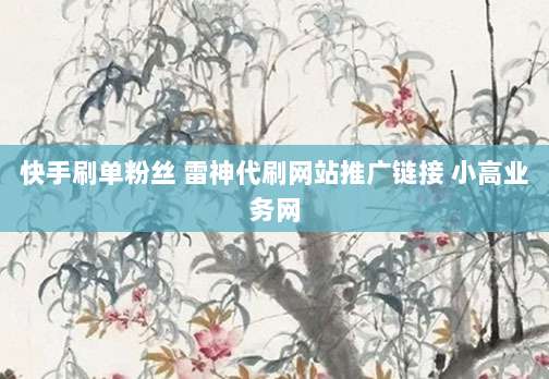 快手刷单粉丝 雷神代刷网站推广链接 小高业务网